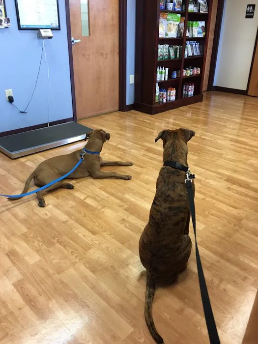 Caring Hearts Animal Hospital Picture 6