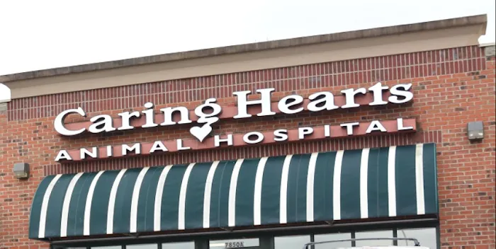 Caring Hearts Animal Hospital Picture 7
