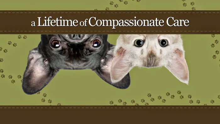 Caring Hearts Animal Hospital Picture 3