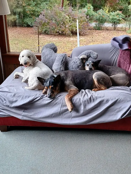 Third Street Veterinary Clinic Picture 5