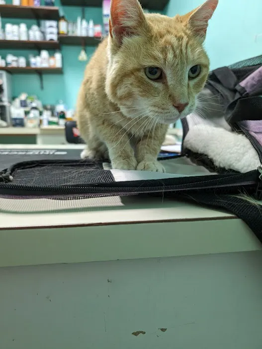Third Street Veterinary Clinic Picture 4
