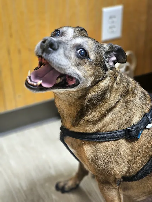 Tri County Veterinary Service Picture 4