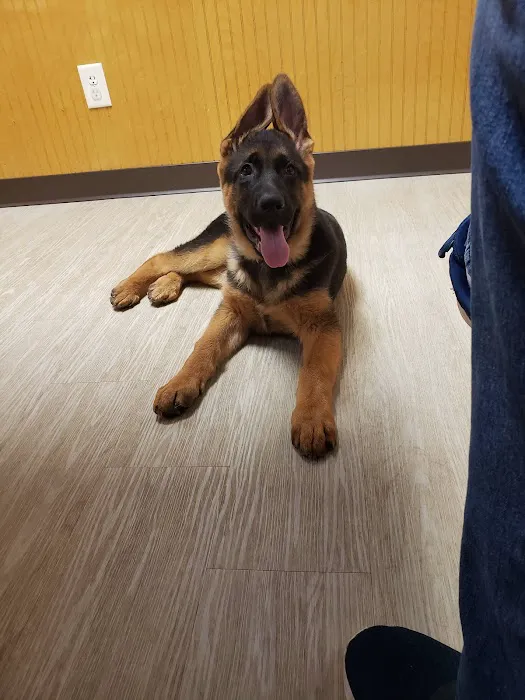Tri County Veterinary Service Picture 5