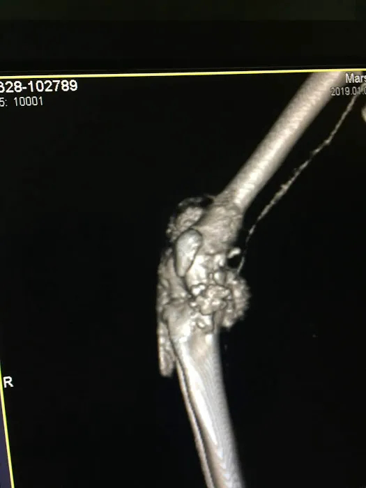 Loops Charles E DVM Picture 1