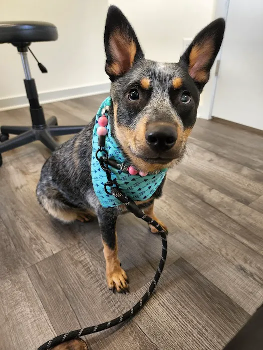 Hill Creek Veterinary Hospital Picture 1