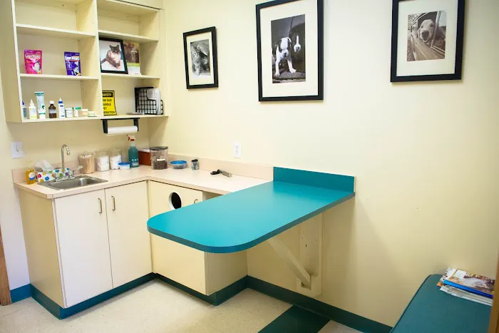 Hill Creek Veterinary Hospital Picture 4