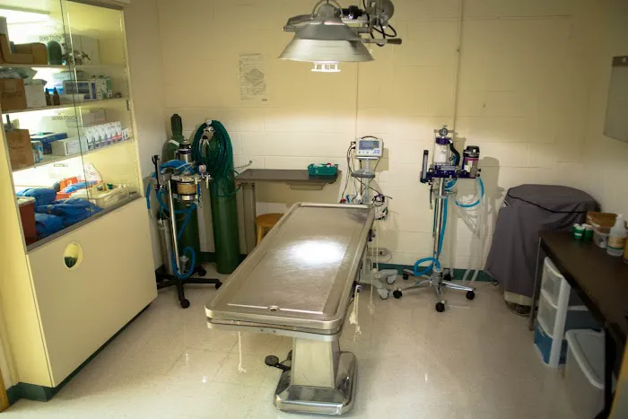 Hill Creek Veterinary Hospital Picture 6