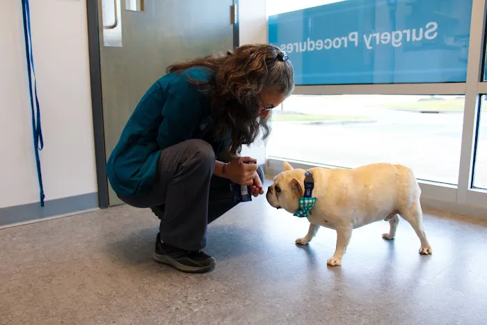Haw River Animal Hospital Picture 4