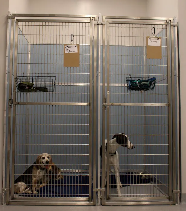 Haw River Animal Hospital Picture 9