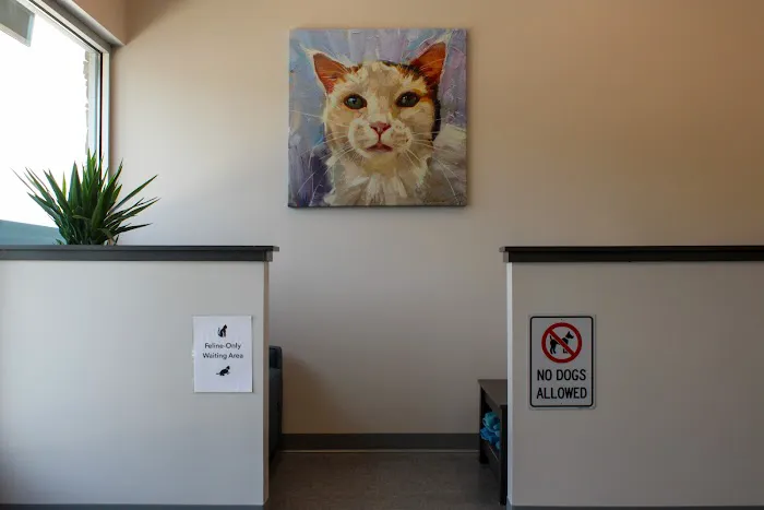Haw River Animal Hospital Picture 7