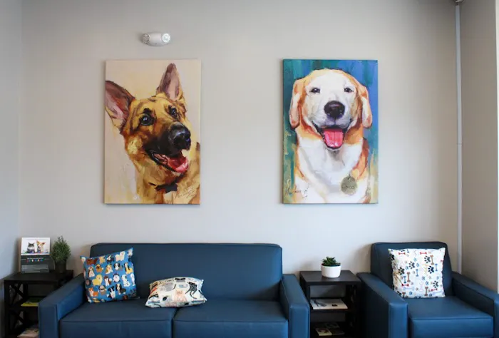 Haw River Animal Hospital Picture 5