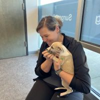 Haw River Animal Hospital ico