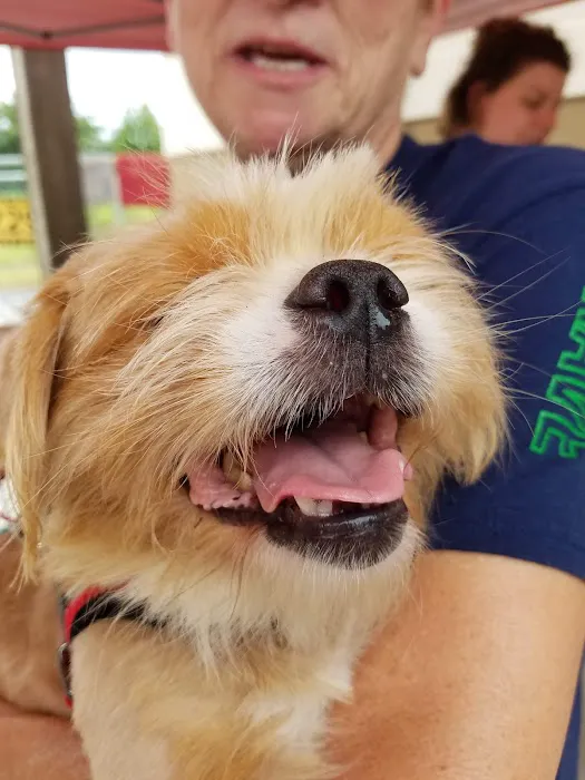 Pittsboro Animal Hospital Picture 4