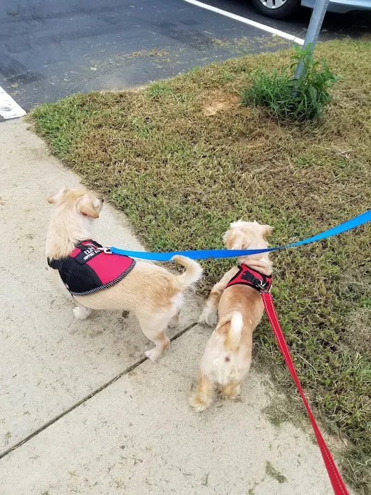 Pittsboro Animal Hospital Picture 5