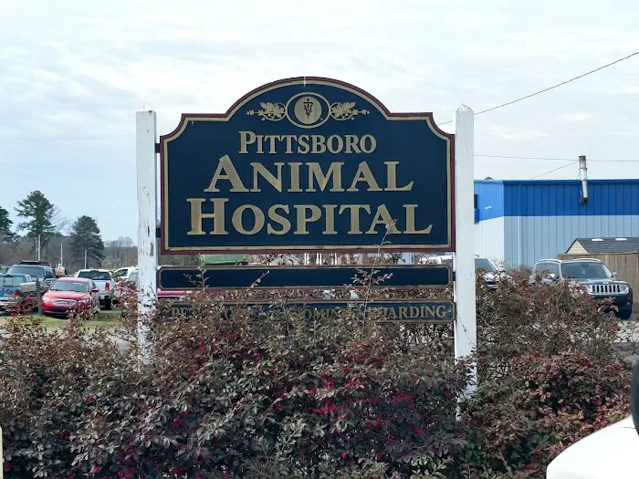 Pittsboro Animal Hospital Picture 3