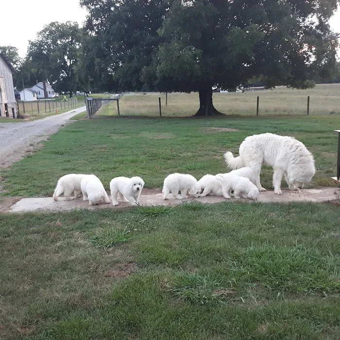 Hope Crossing Animal Hospital Picture 6