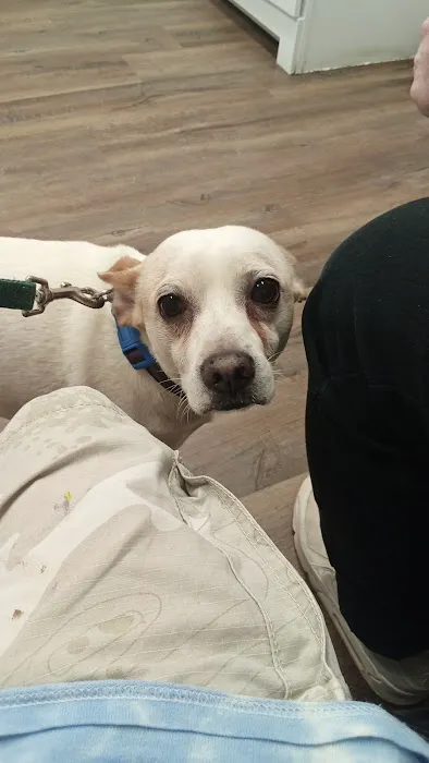 West Pine Animal Hospital and Pet Resort Picture 2