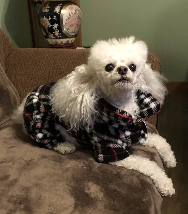 West Pine Animal Hospital and Pet Resort Picture 4