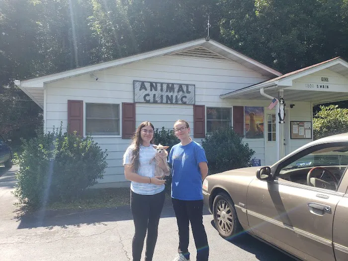 Madison County Animal Clinic Picture 1