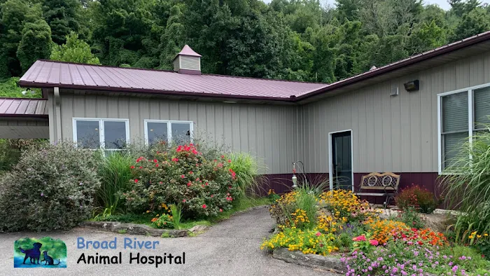 Broad River Animal Hospital Picture 2