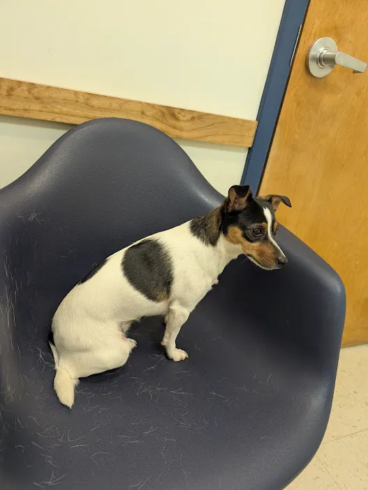 Broad River Animal Hospital Picture 7