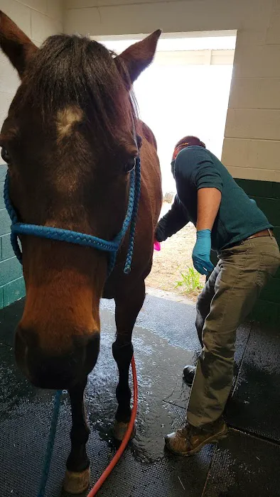 Foothills Animal Hospital Picture 3