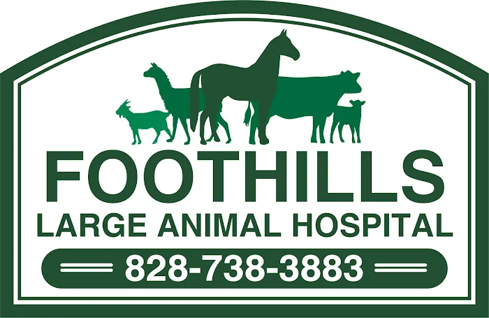 Foothills Animal Hospital Picture 10