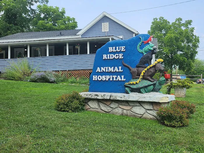 Blue Ridge Animal Hospital Inc Picture 7