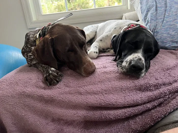 Blue Ridge Animal Hospital Inc Picture 10