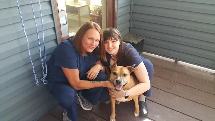 Blue Ridge Animal Hospital Inc: Wagener, Al V.M.D. Picture 1