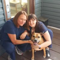 Blue Ridge Animal Hospital Inc: Wagener, Al V.M.D. ico