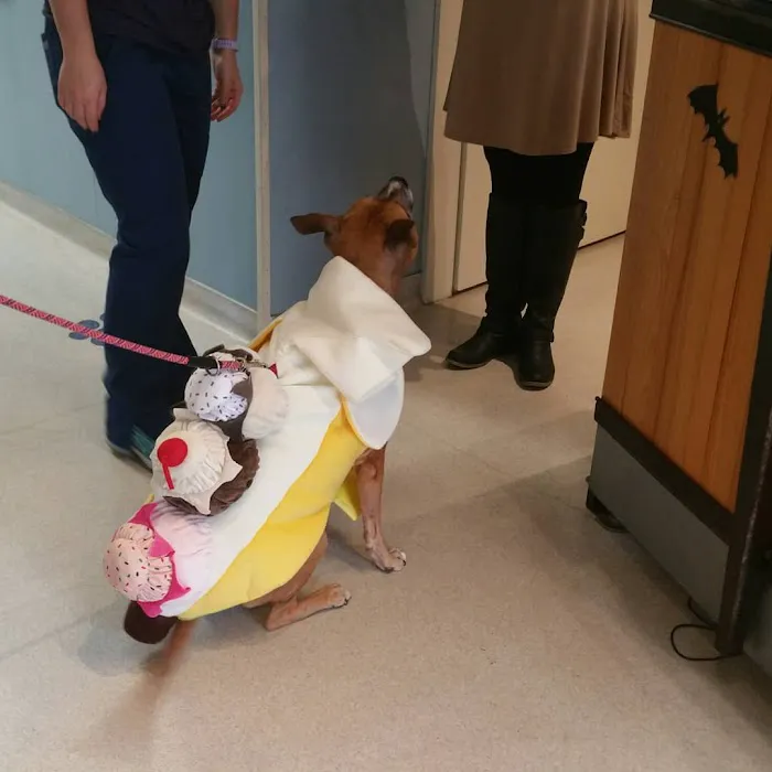 Blue Ridge Animal Hospital Inc: Wagener, Al V.M.D. Picture 3