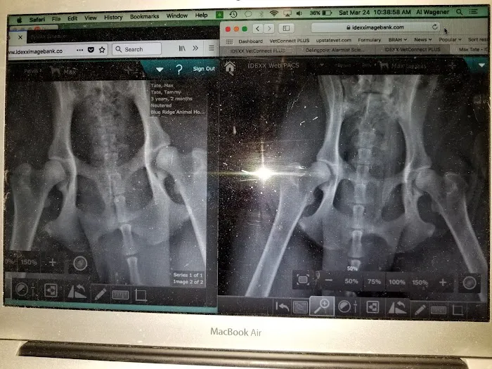 Blue Ridge Animal Hospital Inc: Wagener, Al V.M.D. Picture 2