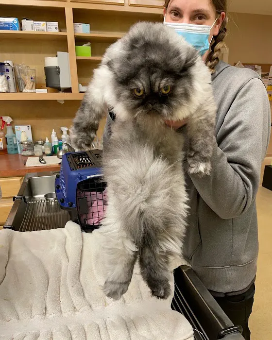 Healthy Petz Family Vet Picture 10