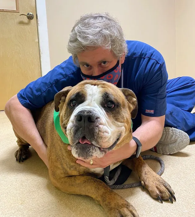 Healthy Petz Family Vet Picture 9