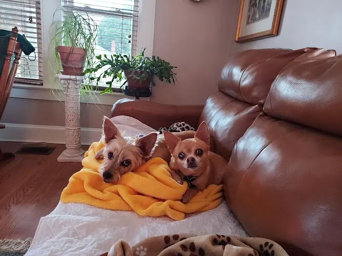 Healthy Petz Family Vet Picture 1