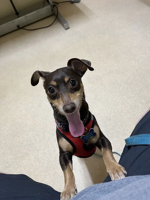 Healthy Petz Family Vet Picture 7