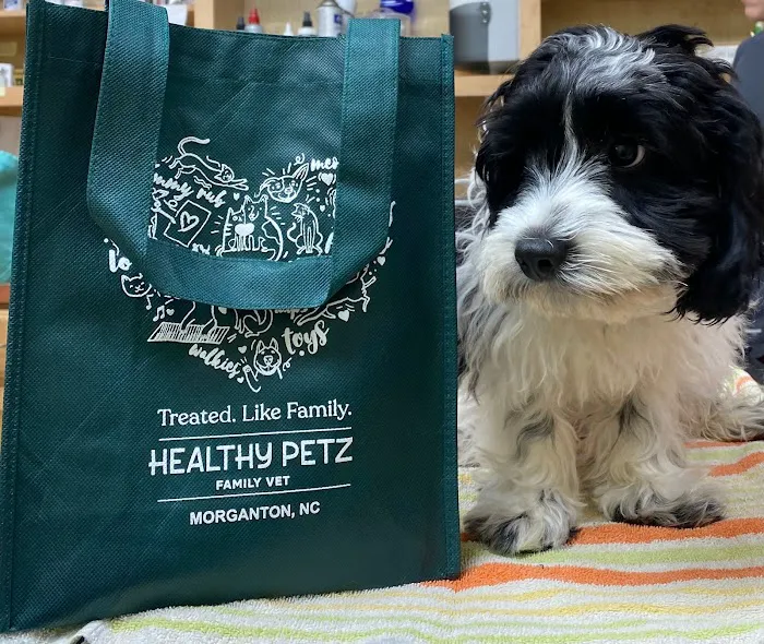 Healthy Petz Family Vet Picture 3