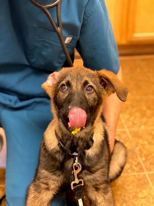 Paws of Hope Veterinary Clinic Picture 5