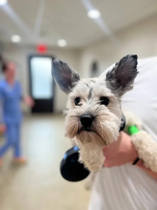 Paws of Hope Veterinary Clinic Picture 6