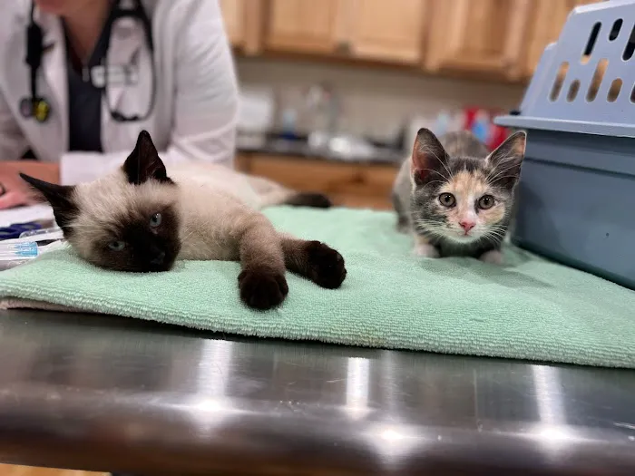 Paws of Hope Veterinary Clinic Picture 4