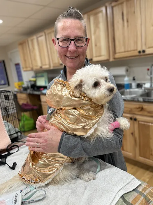 Paws of Hope Veterinary Clinic Picture 7
