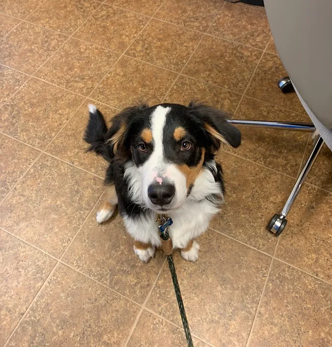 Paws of Hope Veterinary Clinic Picture 10