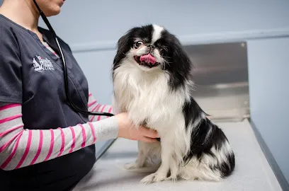 Airport Pet Emergency Clinic Picture 5