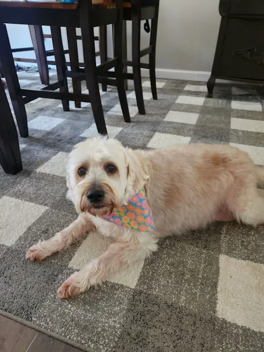 Ketron Veterinary Clinic, LLC Picture 7