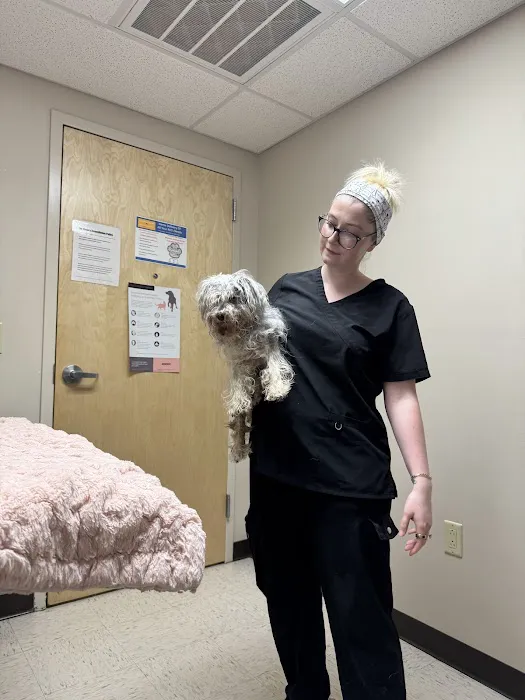 Mountain Empire Small Animal Hospital Picture 1