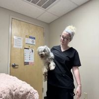 Mountain Empire Small Animal Hospital ico