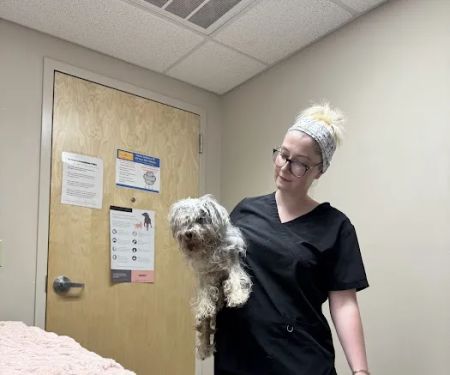 Mountain Empire Small Animal Hospital