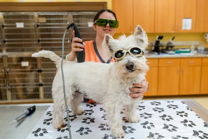 Boones Creek Animal Hospital Picture 10