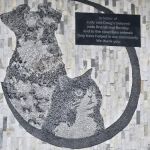Judy and Doug Lowrie Spay & Neuter Clinic